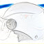 Capacete Demop